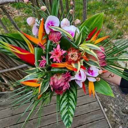 Paradise Found - oiseaux du paradis, proteas, orchidees, evasion tropicale